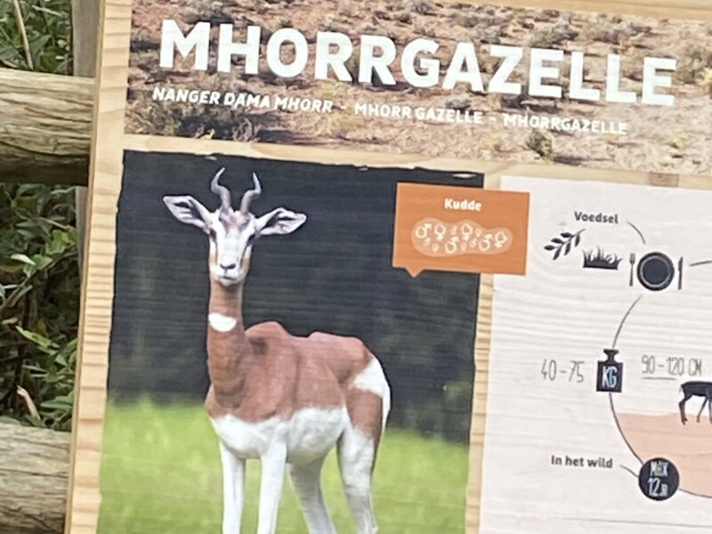 Examenopdracht in Blijdorp