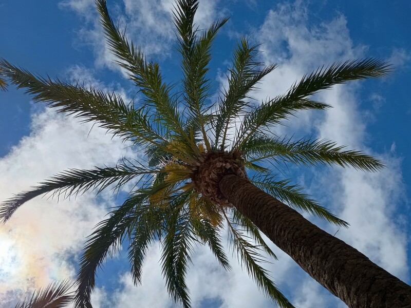 Vakantie!